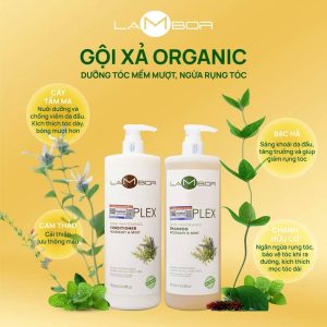 Cặp gội xả lamborvegan organic đang được nhiều người tin dùng